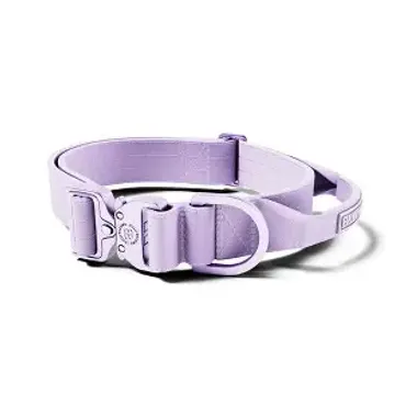 BullyBillows 2.5cm Lighter Combat® Collar Lavender