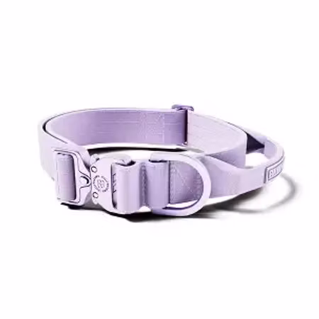 BullyBillows 2.5cm Lighter Combat® Collar Lavender