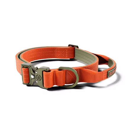 BullyBillows 2.5cm Lighter Combat® Collar Orange & Kaki
