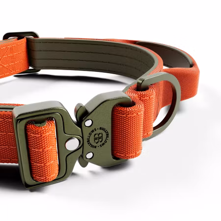 BullyBillows 2.5cm Lighter Combat® Collar Orange & Kaki