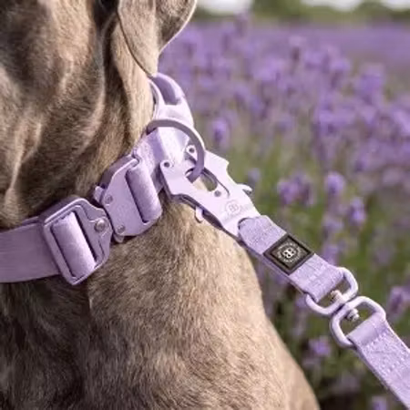 BullyBillows 1.4m LIGHTER Swivel Combat Lead Lavender