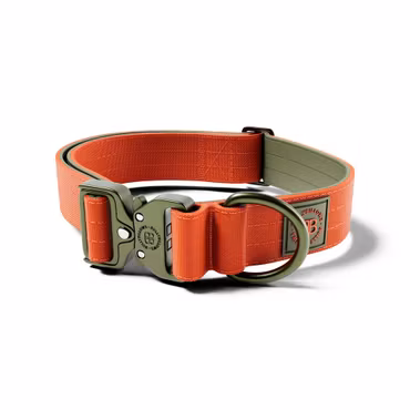 BullyBillows 4cm Lighter Combat® Collar Orange & Khaki