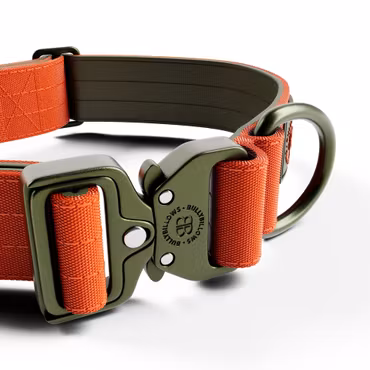 BullyBillows 4cm Lighter Combat® Collar Orange & Khaki