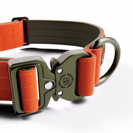 BullyBillows 4cm Lighter Combat® Collar Orange & Khaki