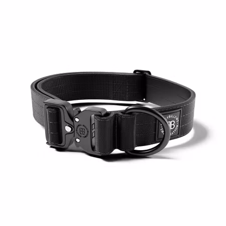 BullyBillows 4cm Lighter Combat® Collar Black