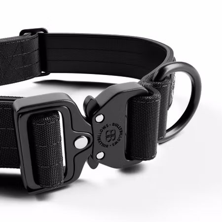 BullyBillows 4cm Lighter Combat® Collar Black