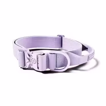 BullyBillows 5cm Lighter Combat® Collar Lavender