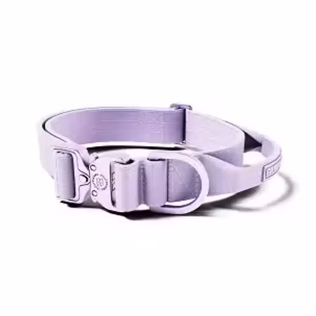 BullyBillows 5cm Lighter Combat® Collar Lavender