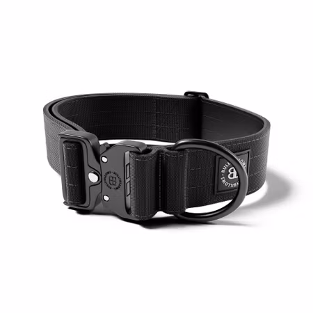BullyBillows 5cm Lighter Combat® Collar Black