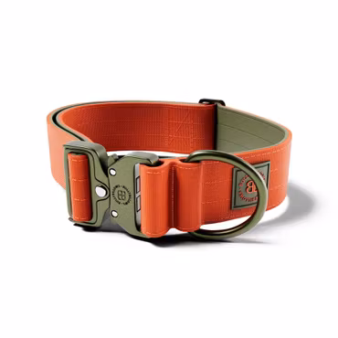 BullyBillows 5cm Lighter Combat® Collar Orange & Khaki