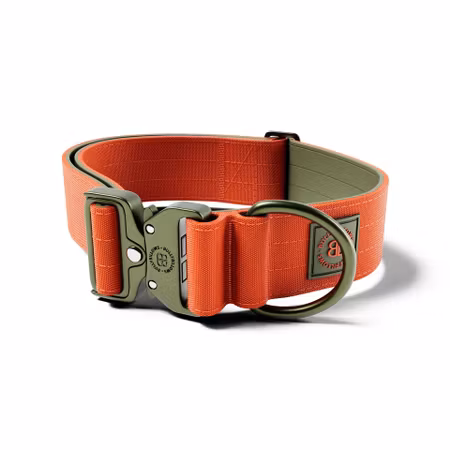BullyBillows 5cm Lighter Combat® Collar Orange & Khaki