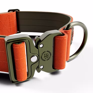 BullyBillows 5cm Lighter Combat® Collar Orange & Khaki