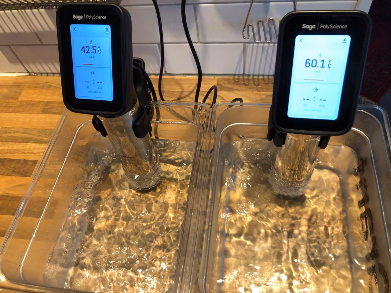 SagePolyScience Hydropro SousVide circulator DEMO