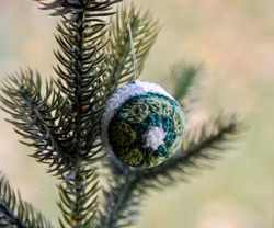 Julekule