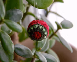 Julekule