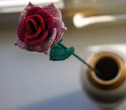 Rose lang