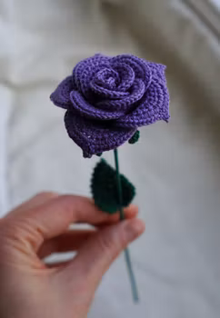 Rose lilla