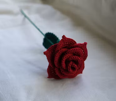 Rose rød
