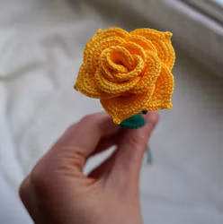 Rose gul