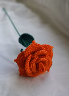 Rose oransje