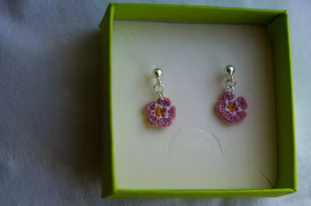 Forglemmegei rosa