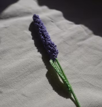 Lavendel
