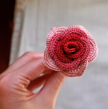 Rose gradert rød-rosa