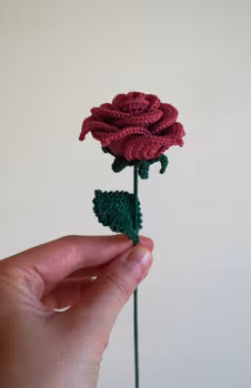 Rose lys rød