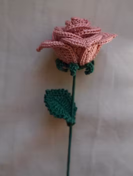 Rose rosa