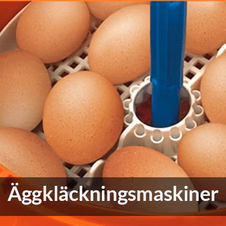 Äggkläckningsmaskiner - Farmab.se