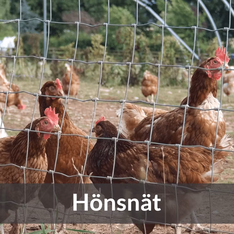 Hönsnät - Farmab.se
