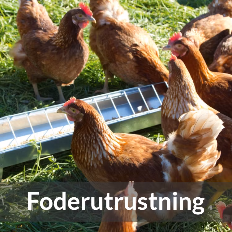 Foderutrustning - Farmab.se