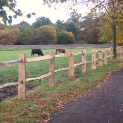 Kastanjestolpe Farmfence 2m - Klyvd, 3 tapphål