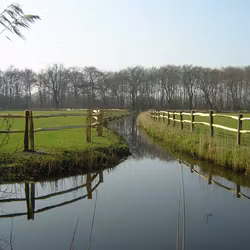 Kastanjestolpe Farmfence 2m - Klyvd, 3 tapphål