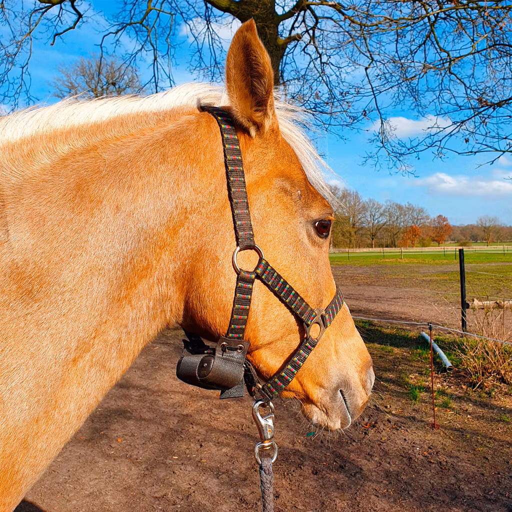 Fölvakt Birth Alarm Lite 2.0 - Monterad på grimma | Farmab.se