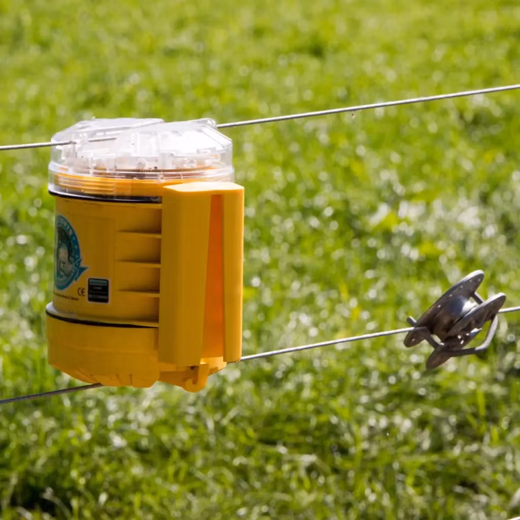 Djursskrämma Gallagher Foxlight - Skyddar mot nattliga rovdjur | farmab.se