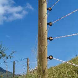 Elrep Gallagher TurboLine vit, 200m