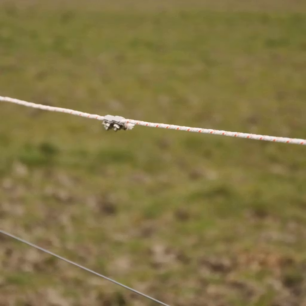 Skarva enkelt med repkontakt - Elrep Gallagher Duopack TurboLine vit, 2x500m | farmab.se