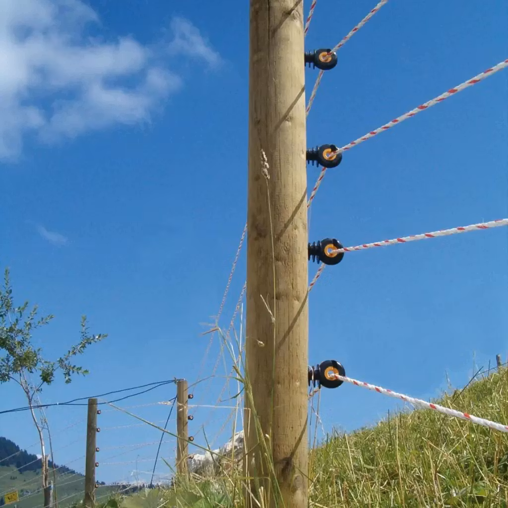Monterad på häststolpe - Elrep Gallagher Duopack TurboLine vit, 2x500m | farmab.se