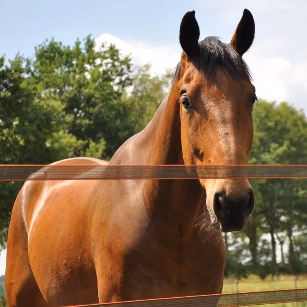 Minimalt underhåll då bandet "andas" - Elband Gallagher TurboStar 40mm terra, 200m | farmab.se