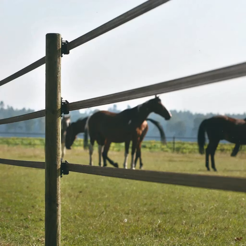 För häststaket under 500m - Elband Gallagher PowerLine 40mm terra, 200m | farmab.se