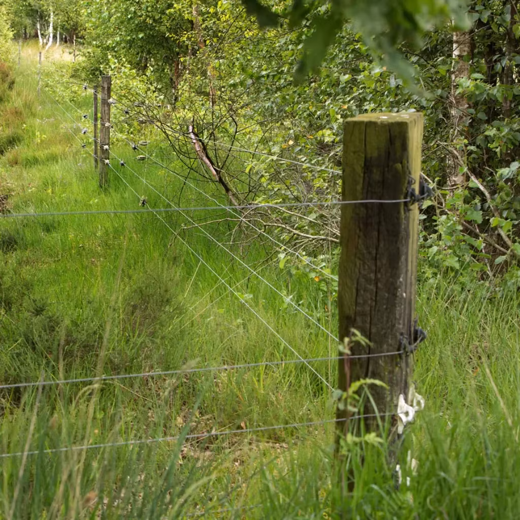 Perfekt för hörnstolpe - Långtidsisolator Gallagher Super vit, 175-pack | farmab.se