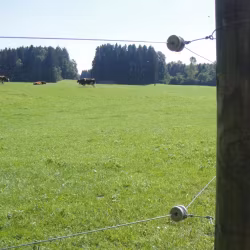 Hörnisolator Gallagher porslin rund, 6-pack