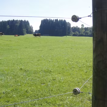 Hörnisolator Gallagher porslin rund, 6-pack