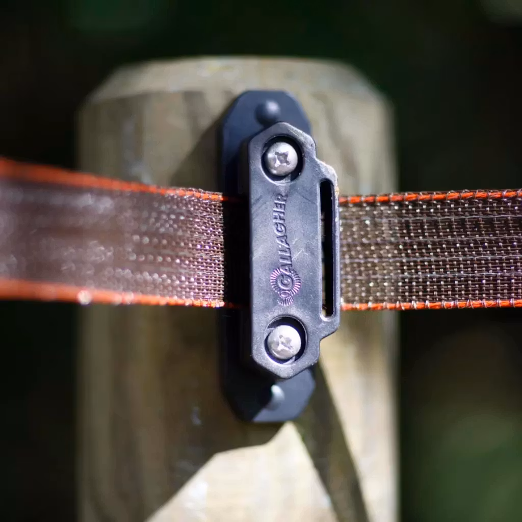 Hörn/spännisolator Gallagher TurboStar, 5-pack