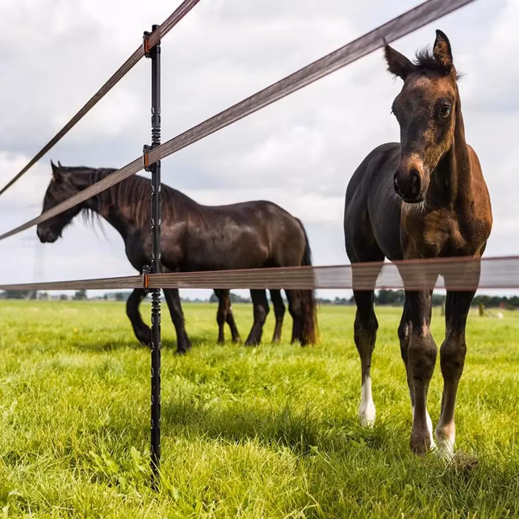Optimal för Häststaket med band - Bandclip Gallagher TurboStar för Line post-stolpe | farmab.se