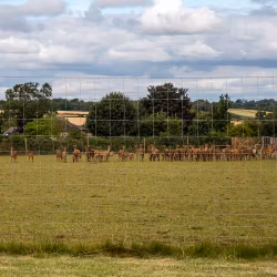 Viltnät Tornado Titan