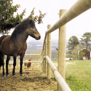 Tryckimpregnerad Slana - Fyrås Trä