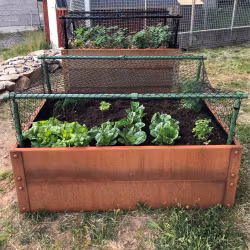 Plast- och näthöjare för odling, Grön