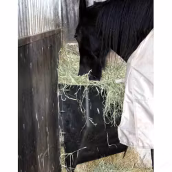 Hökrubba Plast OK499 - 200 Liter, Svart